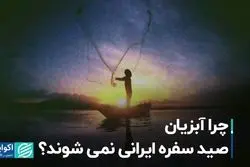 چرا آبزیان صید سفره ایرانی نمی‌شوند؟
