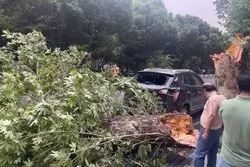 طوفان تهران چقدر به شهروندان خسارت زد؟