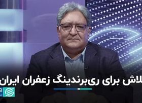 ایران 95 درصد زعفران دنیا را تامین می‌کند