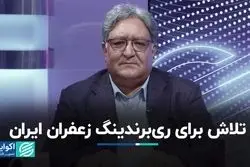 ایران 95 درصد زعفران دنیا را تامین می‌کند