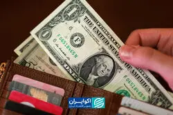 4 عامل افزایش قیمت دلار