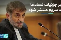 انتقاد عضو مجمع تشخیص مصلحت درباره اطلاع‌رسانی فساد