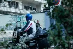 پیر و جوان ندارد؛ حضور پررنگ مردان در بازار کار
