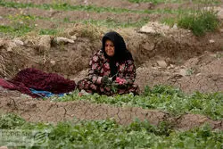 دستور العمل  اخذ عوارض آب مجازی + سند