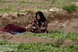 دستور العمل  اخذ عوارض آب مجازی + سند