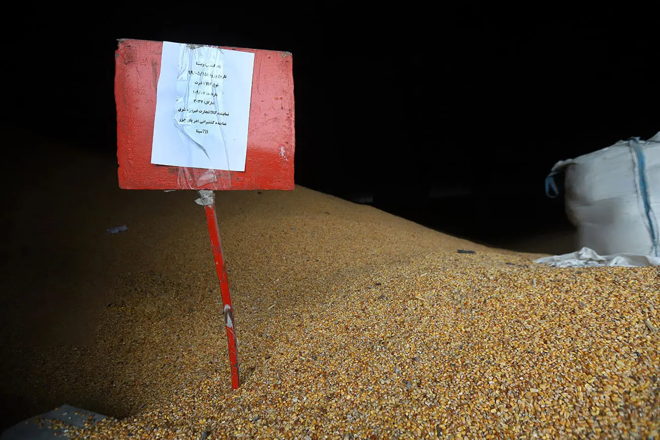 دستور رییس قوه قضاییه برای رسیدگی به وضعیت نهاده‌های دامی در برخی استان‌ها