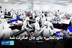 خودکفایی» بلای جان صادرات شد