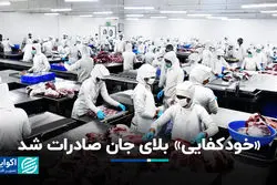 خودکفایی» بلای جان صادرات شد