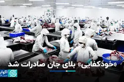 خودکفایی» بلای جان صادرات شد