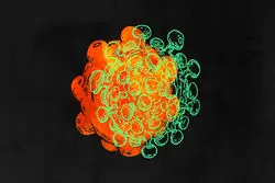 چی بپوشم کرونا نگیرم؟