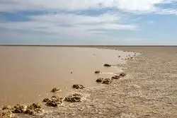 اقدام جدید طالبان برای حق‌آبه ایران؛ قطع امید از احیای هامون؟