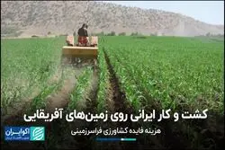 کشاورزی در اراضی اجاره ای؛ فرصت یا تهدید ؟  