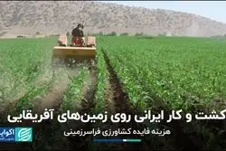 کشاورزی در اراضی اجاره ای؛ فرصت یا تهدید ؟  