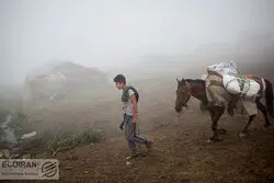 وام ۴۰۰ میلیونی برای این افراد + جزئیات