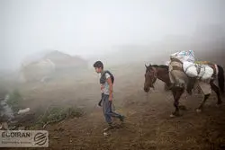 وام ۴۰۰ میلیونی برای این افراد + جزئیات