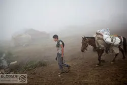 وام ۴۰۰ میلیونی برای این افراد + جزئیات