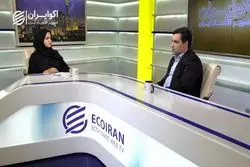 سهام و سهامداران لب بر تیغ اینترنت