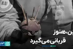 مین، هنوز قربانی می‌گیرد