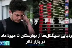 ردیابی سیگنال‌ها از بهارستان تا میرداماد در بازار دلار 