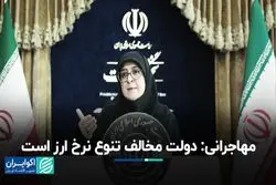 مهاجرانی: دولت مخالف تنوع نرخ ارز است