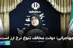 مهاجرانی: دولت مخالف تنوع نرخ ارز است