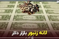 لانه زنبور بازار دلار