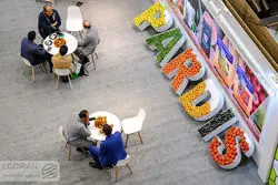 قاچاق قارچ ایرانی از مجاری غیررسمی+ قیمت مصوب