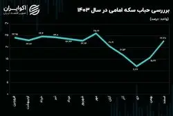 نیم‌سکه رکورد زد/ چرا ربع سکه و سکه گرمی جا ماندند؟
