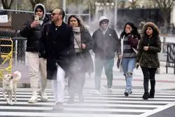 بازار داغ اشتغال آمریکا، کامودیتی‌ها را از سکه انداخت