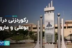 رکوردزنی درآمد بوعلی و مارون