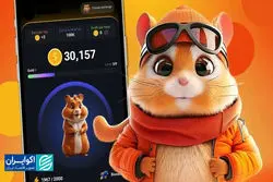 سرنوشت همستر چه شد؟