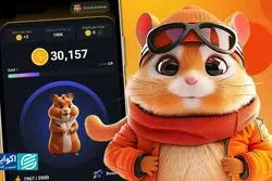 سرنوشت همستر چه شد؟