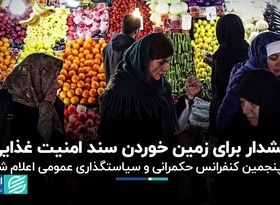 هشدار برای زمین خوردن سند امنیت غذایی