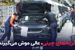 گربه‌های چینی،عالی موش میگیرند