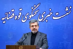 سخنگوی قوه قضائیه: اعتقاد دارم حمید نوری به‌زودی برمی‌گردد / فاطمی امین شاکی خصوصی علیرضابیگی بود