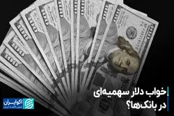 خواب دلار سهمیه‌ای در بانک‌ها؟