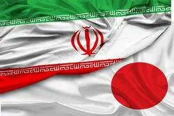 همکاری جدید تهران با توکیو؛ پنیر ایرانی راهی ژاپن می‌شود