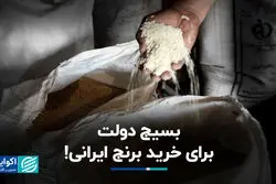 بسیج دولت برای خرید برنج‌‌ ایرانی!
