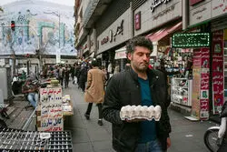 قیمت جدید هر شانه تخم مرغ چند؟ + جدول قیمت ها