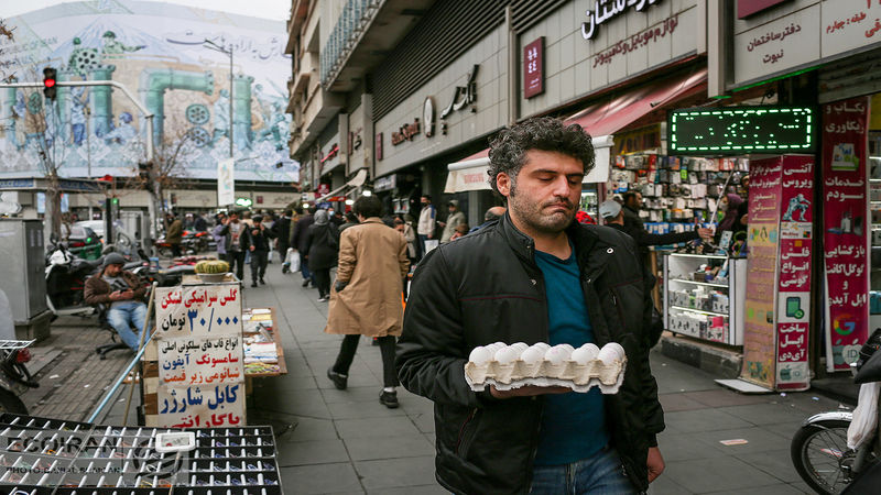 این هشدار را جدی بگیرید؛ تخم مرغ بدون شناسنامه نخرید/ راه صادرات مرغ و تخم مرغ باز است