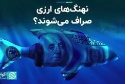 نهنگ‌های ارزی صراف می‌شوند؟