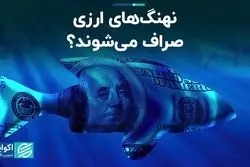 نهنگ‌های ارزی صراف می‌شوند؟