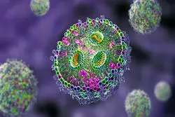 با این فناوری، بدن انسان به یک کارخانه تولید دارو تبدیل می‌شود