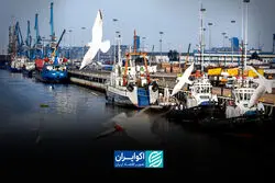 تجارت خارجی حلقه سوم زنجیره افت رشد