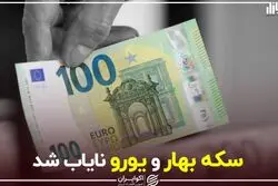 سکه بهار و یورو نایاب شد
