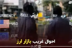 احوال غریب بازار ارز