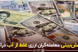 پیش‌بینی معامله‌گران ارزی غلط از آب درآمد