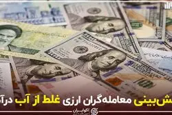 پیش‌بینی معامله‌گران ارزی غلط از آب درآمد