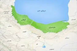 آگهی‌های وسوسه‌کننده زمین در شمال؛ کدام زمین‌ها واقعاً قابل ساخت‌اند؟