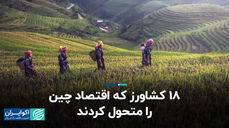 18 کشاورز تابوشکن که اقتصاد چین را متحول کردند